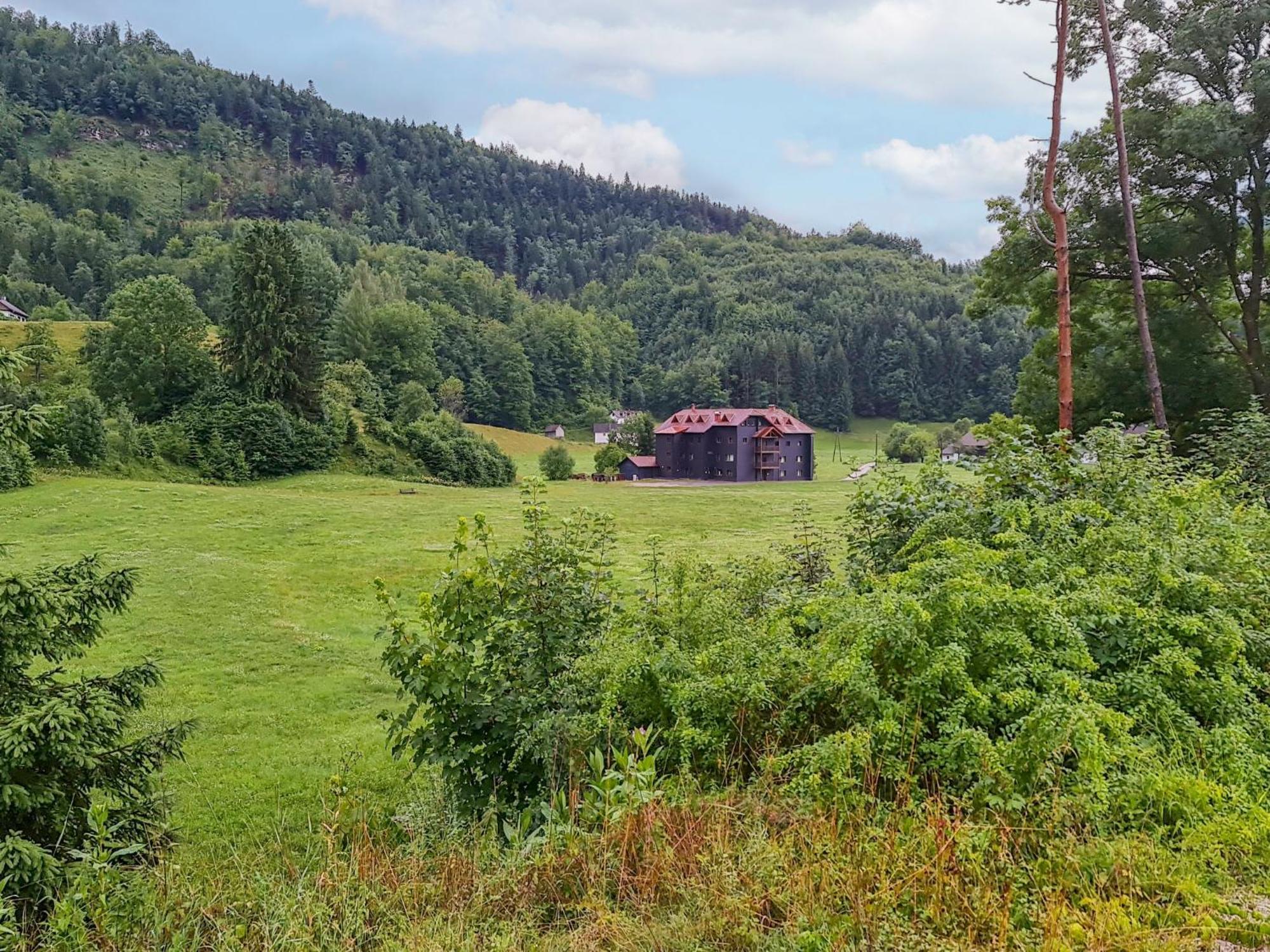 Apartment Adlerhorst Grünau im Almtal Eksteriør billede